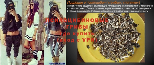 ешки Алексеевка