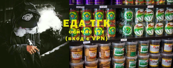 дмт Алексин