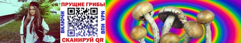 Галлюциногенные грибы мицелий  Алупка 